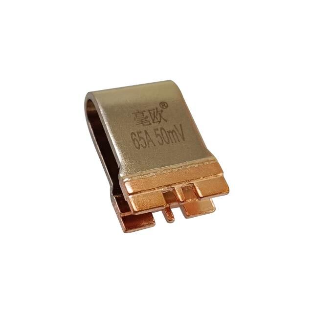 HoFLQ60-65A-50mV-1% painted